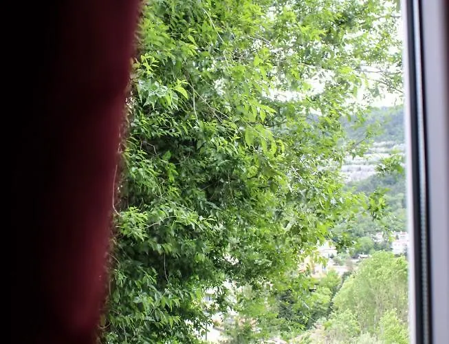 Daire Boegan Trieste